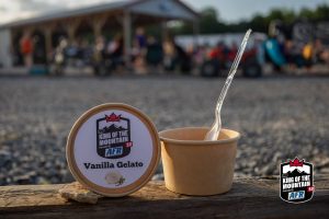 A cup of ice cream with a spoon next to it.