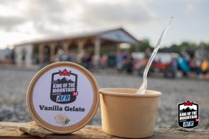 A cup of vanilla ice cream with a spoon next to it.